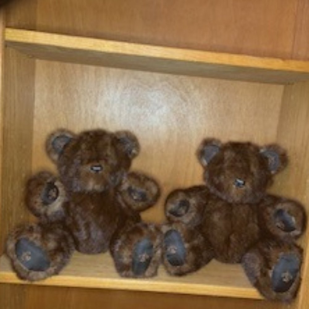 Twin Mink Teddy Bears